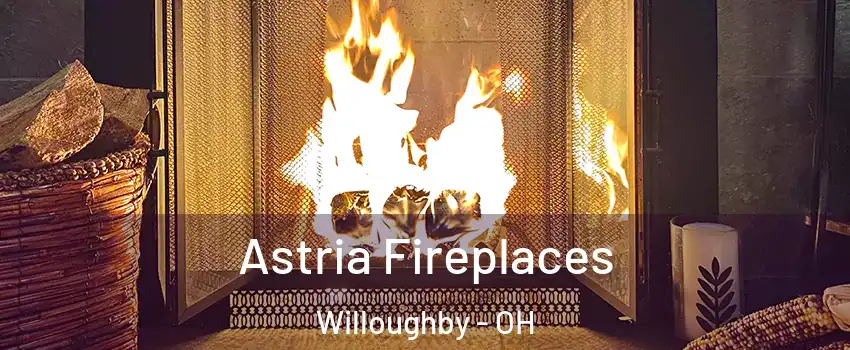  Astria Fireplaces Willoughby - OH