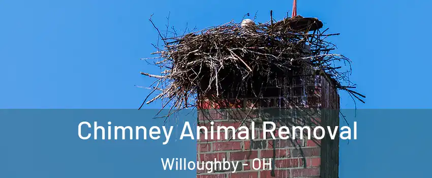  Chimney Animal Removal Willoughby - OH