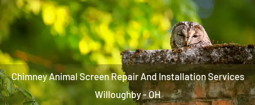  Chimney Animal Screen Repair And Installation Services Willoughby - OH