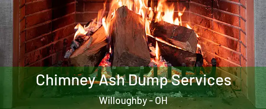  Chimney Ash Dump Services Willoughby - OH