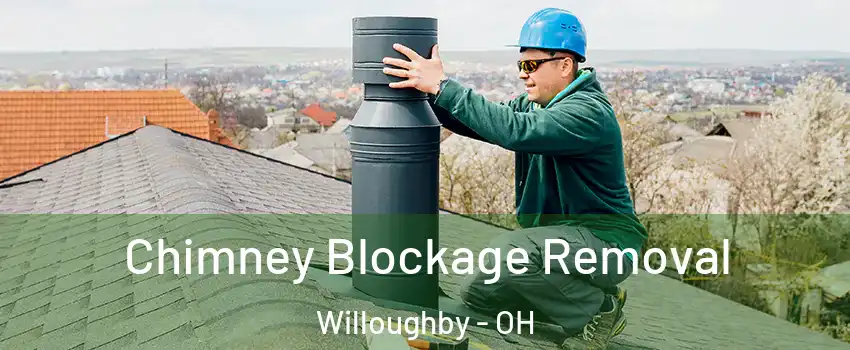  Chimney Blockage Removal Willoughby - OH