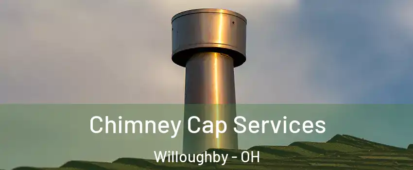  Chimney Cap Services Willoughby - OH