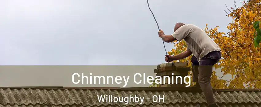  Chimney Cleaning Willoughby - OH