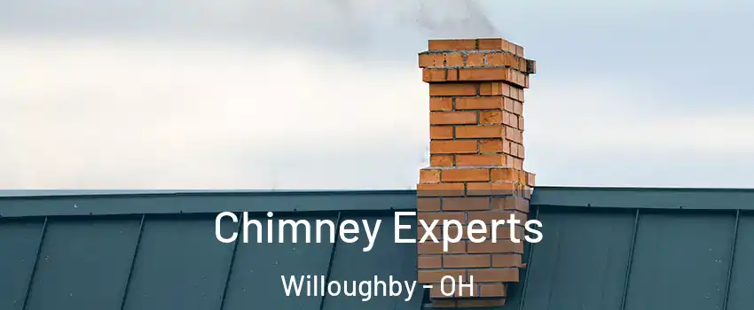  Chimney Experts Willoughby - OH