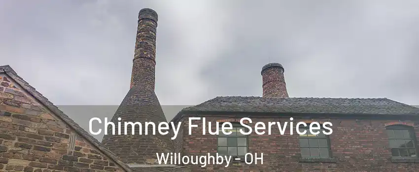  Chimney Flue Services Willoughby - OH