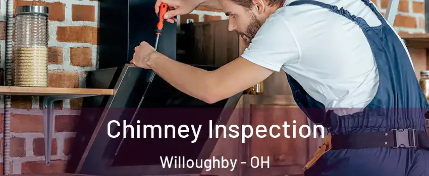  Chimney Inspection Willoughby - OH