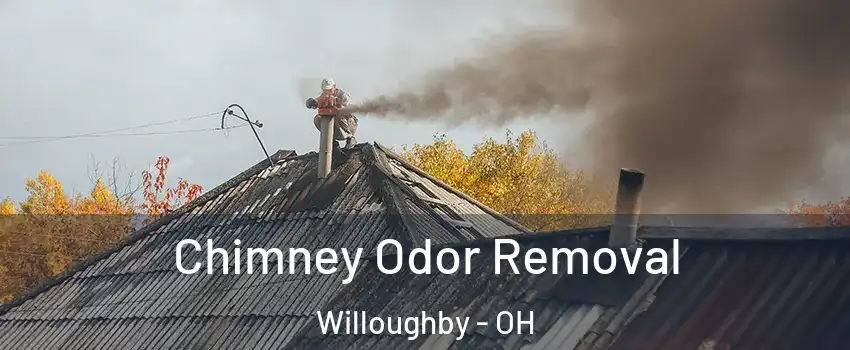  Chimney Odor Removal Willoughby - OH
