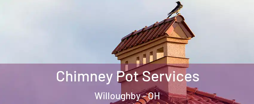  Chimney Pot Services Willoughby - OH