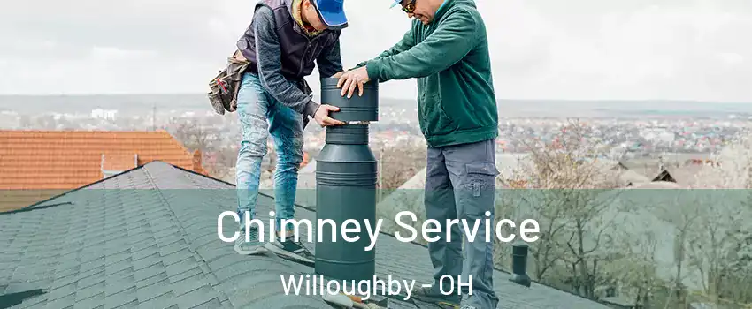  Chimney Service Willoughby - OH
