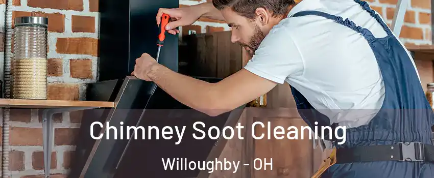  Chimney Soot Cleaning Willoughby - OH