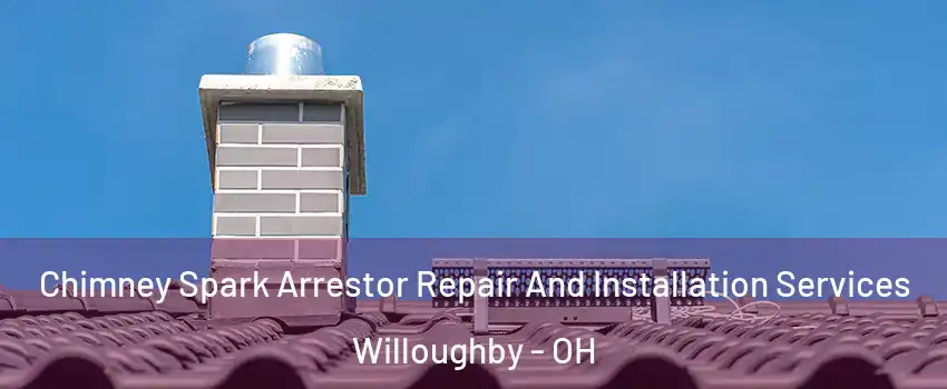 Chimney Spark Arrestor Repair And Installation Services Willoughby - OH