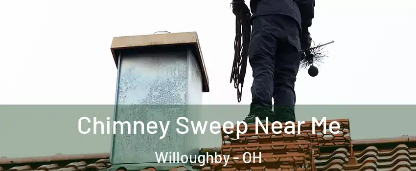  Chimney Sweep Near Me Willoughby - OH