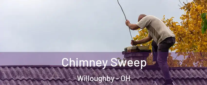  Chimney Sweep Willoughby - OH
