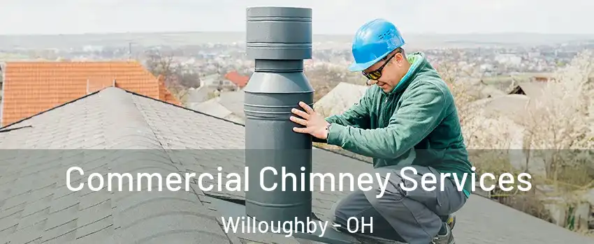  Commercial Chimney Services Willoughby - OH