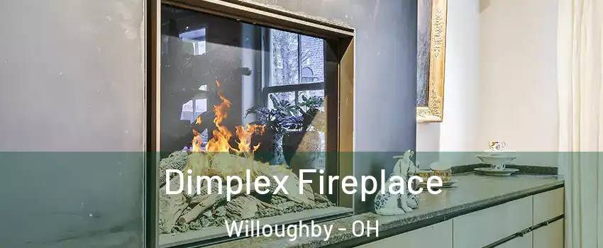  Dimplex Fireplace Willoughby - OH