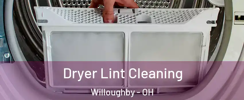  Dryer Lint Cleaning Willoughby - OH