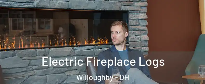  Electric Fireplace Logs Willoughby - OH