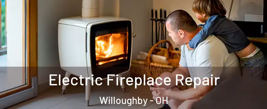  Electric Fireplace Repair Willoughby - OH