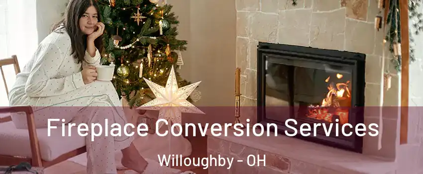  Fireplace Conversion Services Willoughby - OH