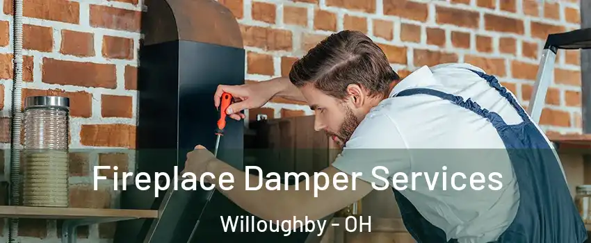  Fireplace Damper Services Willoughby - OH