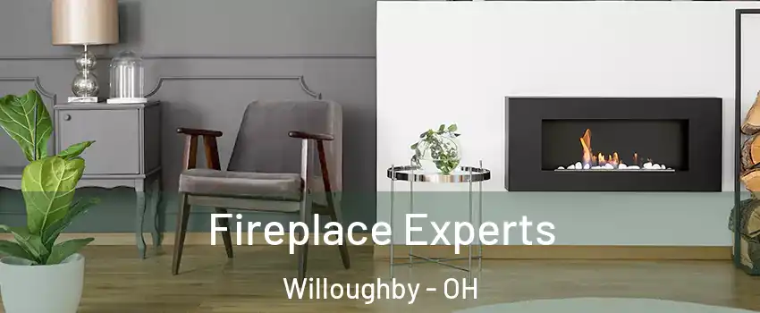  Fireplace Experts Willoughby - OH