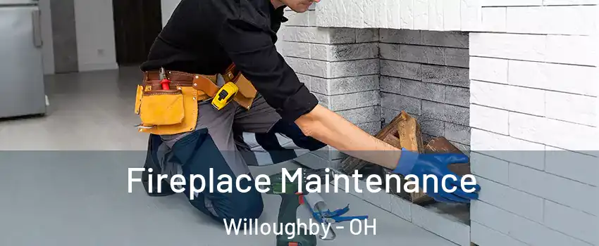  Fireplace Maintenance Willoughby - OH