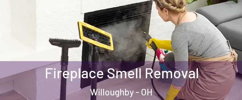  Fireplace Smell Removal Willoughby - OH