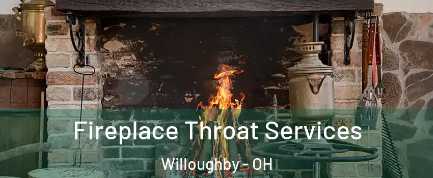  Fireplace Throat Services Willoughby - OH