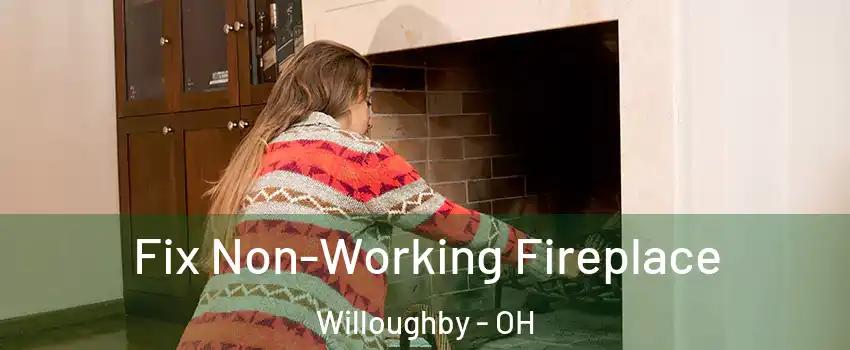  Fix Non-Working Fireplace Willoughby - OH