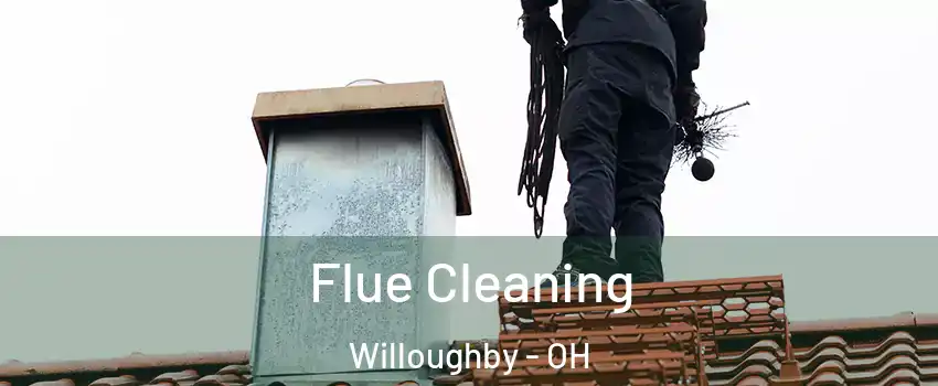 Flue Cleaning Willoughby - OH