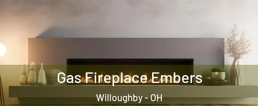  Gas Fireplace Embers Willoughby - OH