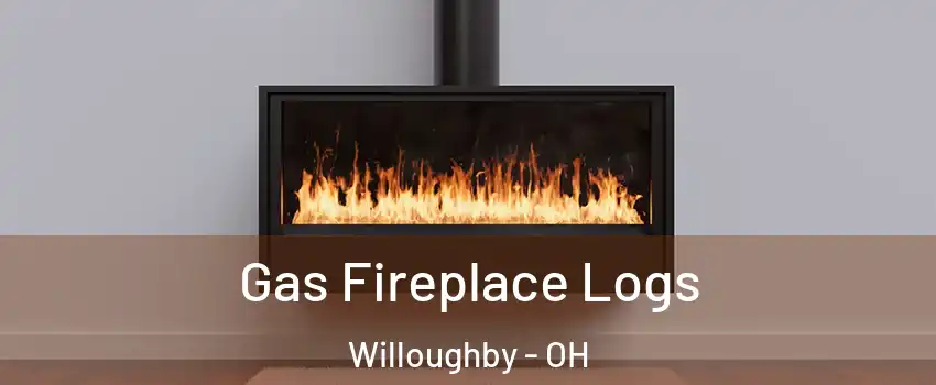  Gas Fireplace Logs Willoughby - OH
