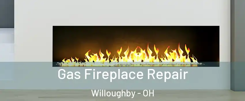  Gas Fireplace Repair Willoughby - OH