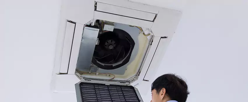 Benefits of Professional Air Duct Cleaning in Willoughby, Ohio