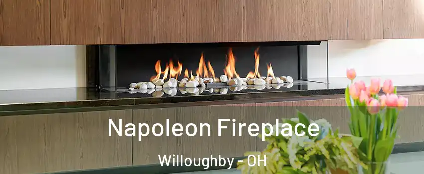  Napoleon Fireplace Willoughby - OH