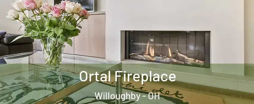  Ortal Fireplace Willoughby - OH