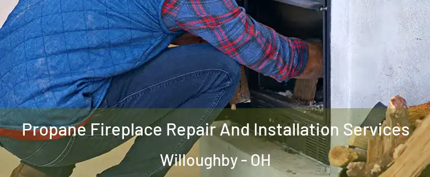  Propane Fireplace Repair And Installation Services Willoughby - OH