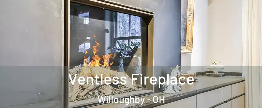  Ventless Fireplace Willoughby - OH